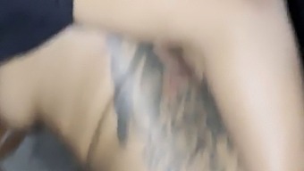 Sneaky Public Encounter: Link Smoke And Pornstar Cali Get Caught Up By Chris Blaccwood